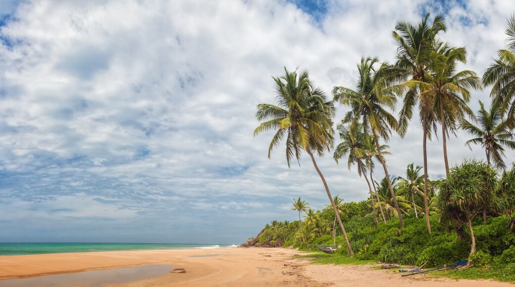 Beach near Kosgoda, Sri Lanka