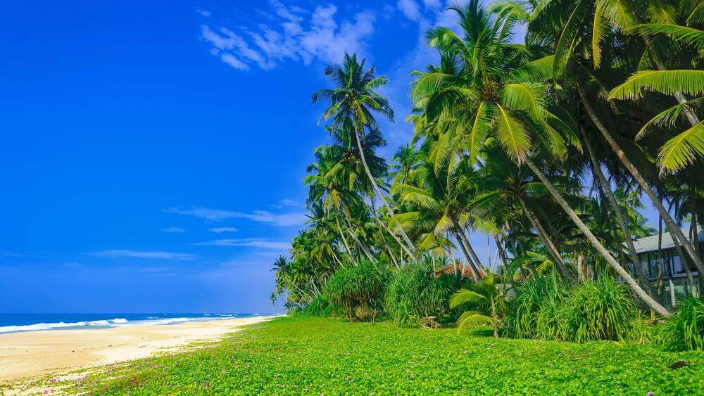 Paradise sandy tropical beach Kosgoda on the island of Ceylon (Sri Lanka)
