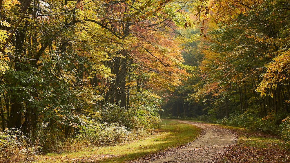 The Great Allegheny Passage trail at Rockwood, Pennsylvania in early fall