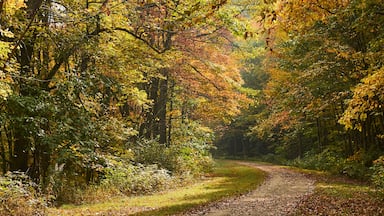 The Great Allegheny Passage trail at Rockwood, Pennsylvania in early fall