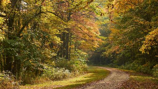 The Great Allegheny Passage trail at Rockwood, Pennsylvania in early fall