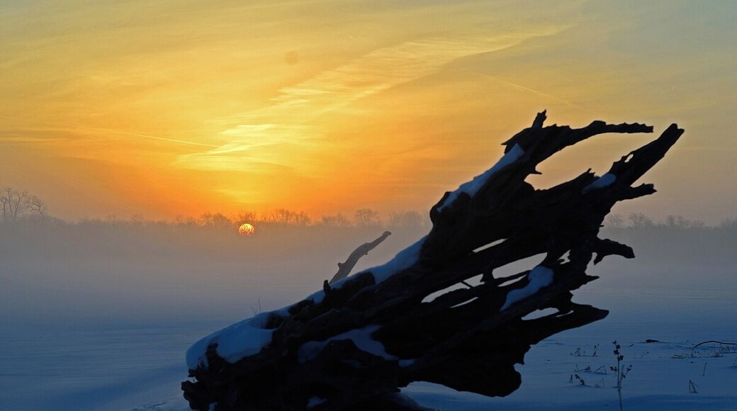 Sunrise over the Mississippi River. This was a cold morning during a nasty Winter when the river was frozen solid. the river has steady current so it has to be cold to freeze solid.