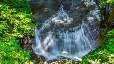 Havana Glen Waterfall, Montour Falls, New York