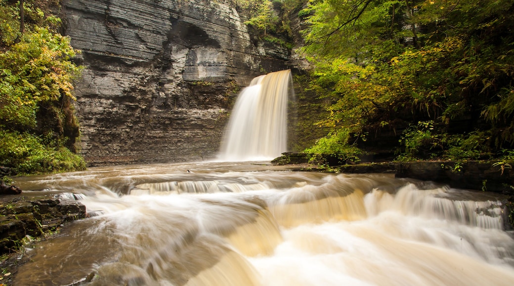 Montour Falls