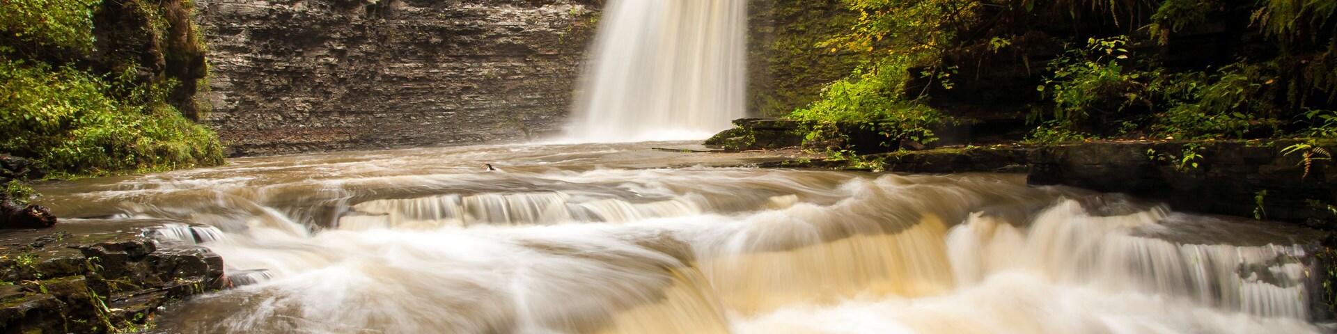 Una cascada que se precipita sobre un risco rodeado de abundante vegetación.