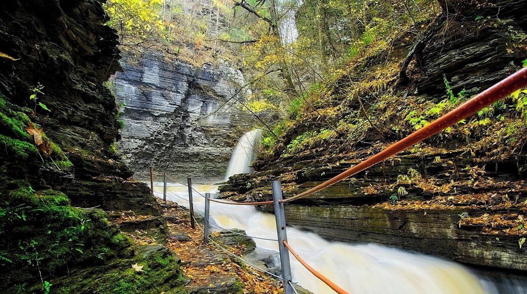 The trail to Eagle Cliff Falls is narrow and slippery when wet, which, I can only assume, is almost always! 🤣
#newyork #hiking #waterfall #fall #fallcolors #outdoors