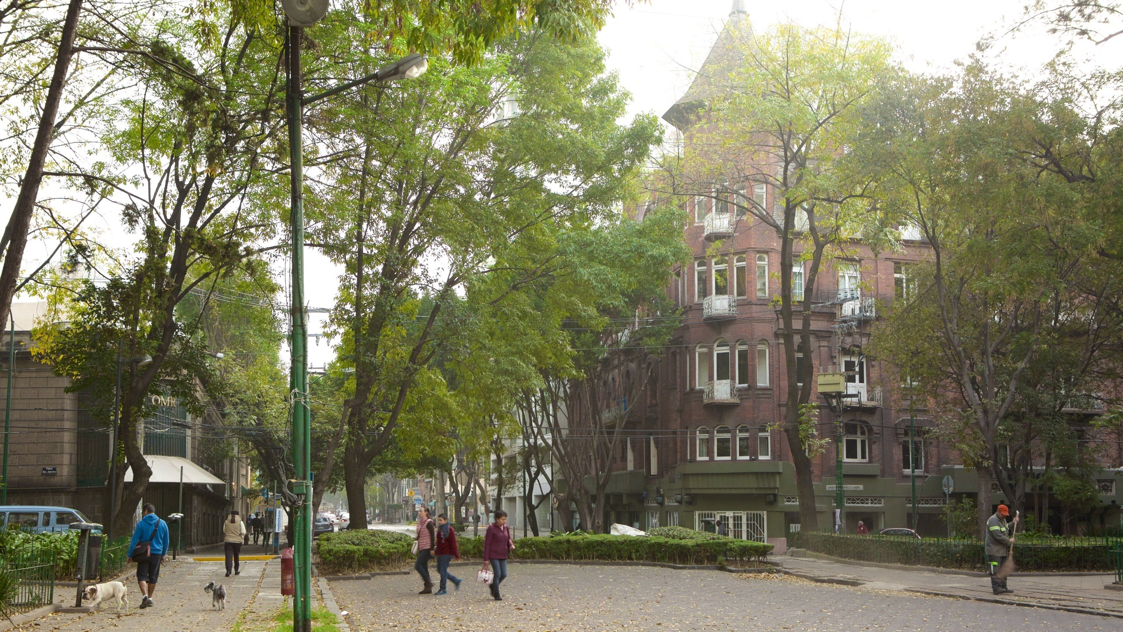 La Condesa featuring street scenes