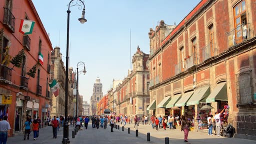 Downtown Mexico City which includes a city and city views as well as a large group of people