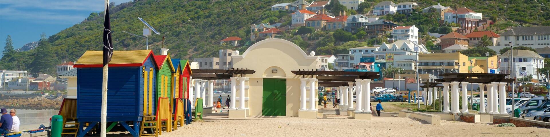 ミューゼンバーグ