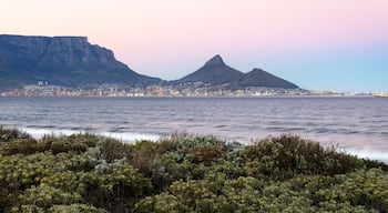 Milnerton