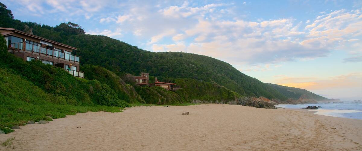 A beach with buildings on a hillside and the ocean in the background.