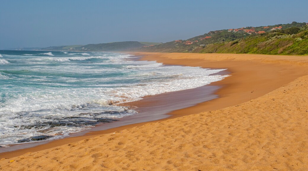 Ballito is a resort town in KwaZulu-Natal, South Africa. Ballito is about 40 kilometers north of Durban. Ballito has a very beautiful beach.