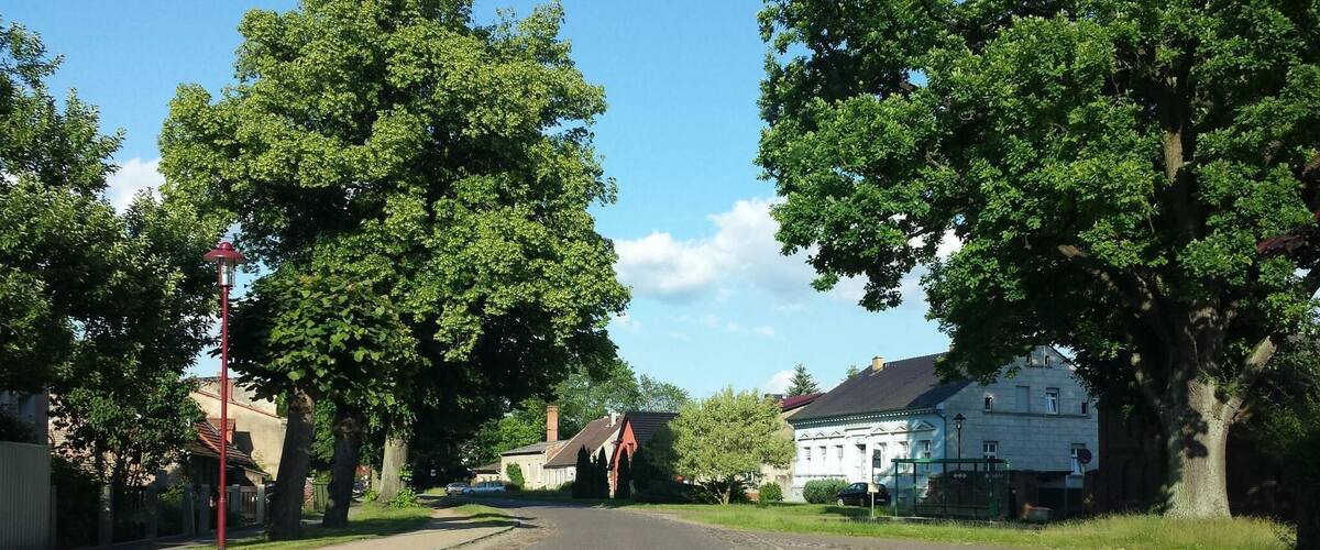 A tree-lined street with buildings and a clear sky.