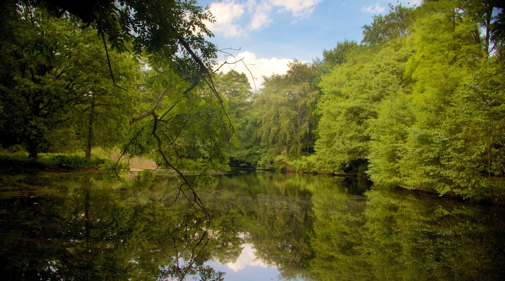 Tiergarten which includes forests and a lake or waterhole