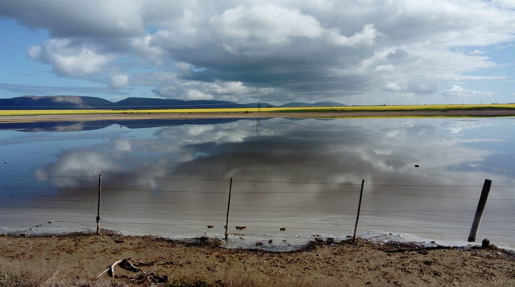Beautiful road side view on the way to Witsand
