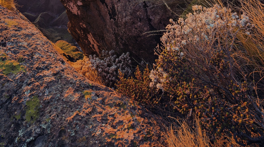 "Theatre" South Africa at its best.
#bvs100k