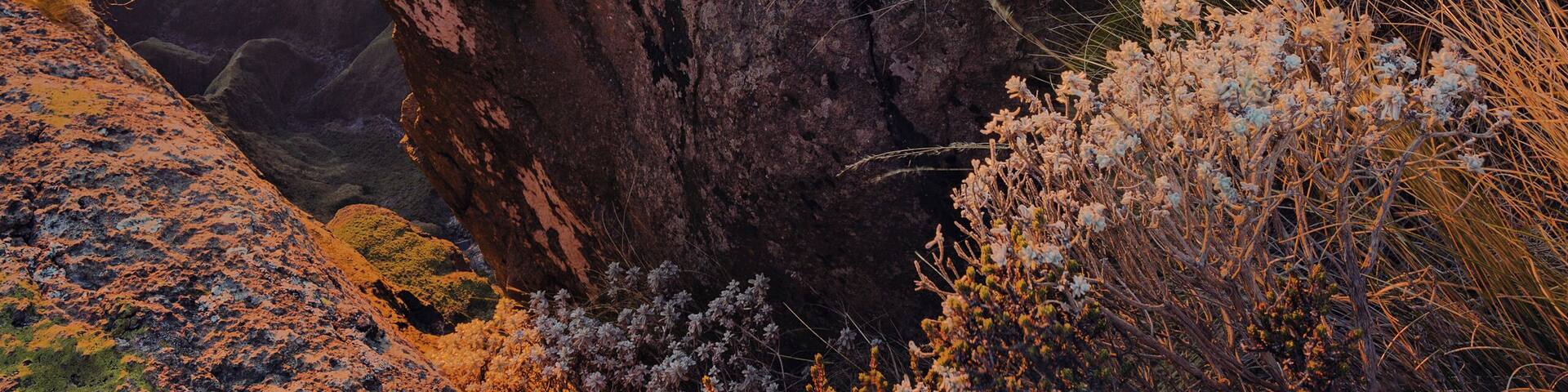 "Theatre" South Africa at its best.
#bvs100k