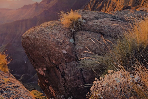 "Theatre" South Africa at its best.
#bvs100k