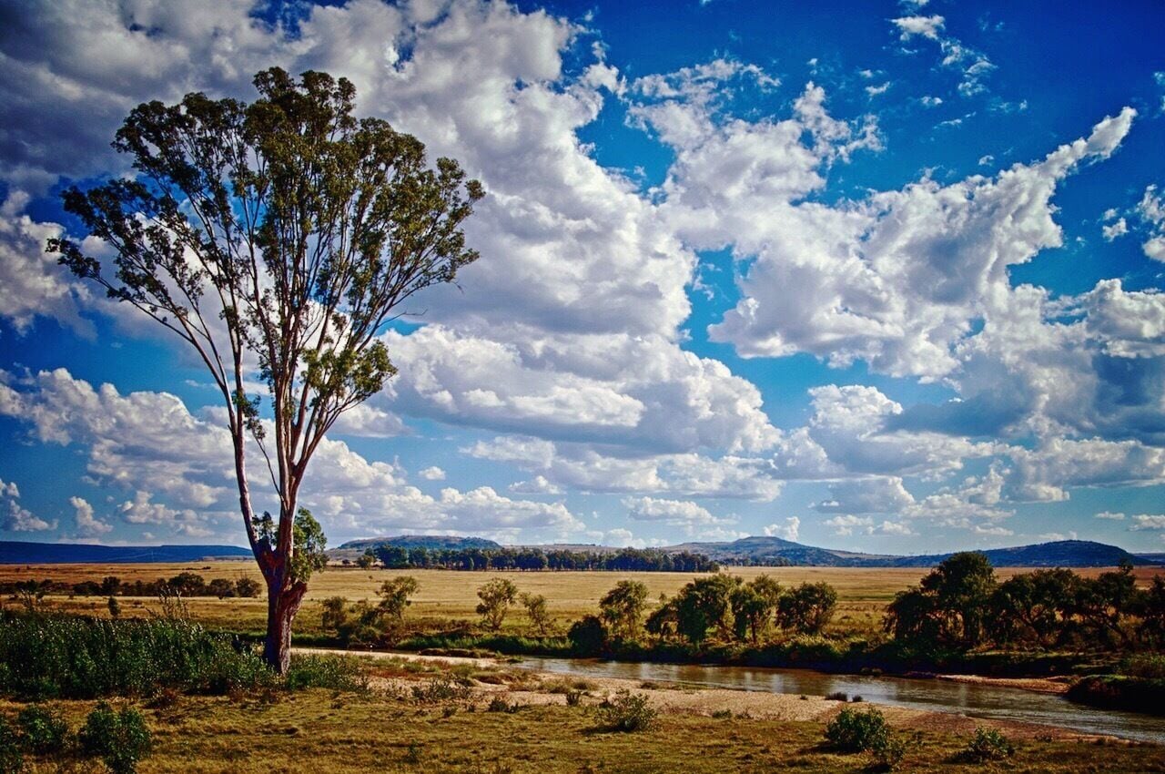 Unfortunately I don't remember exactly where this was, but it was the rural part of middle of South Africa,  a few hours away from Johannesburg...
