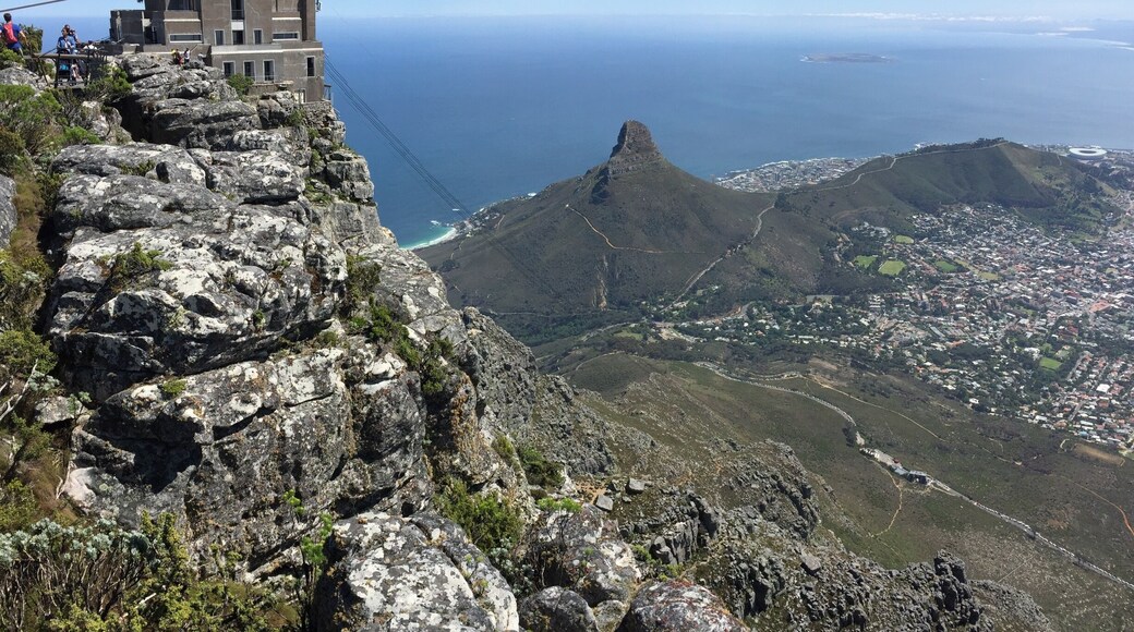Another great view from Table Mountain, Cape Town.