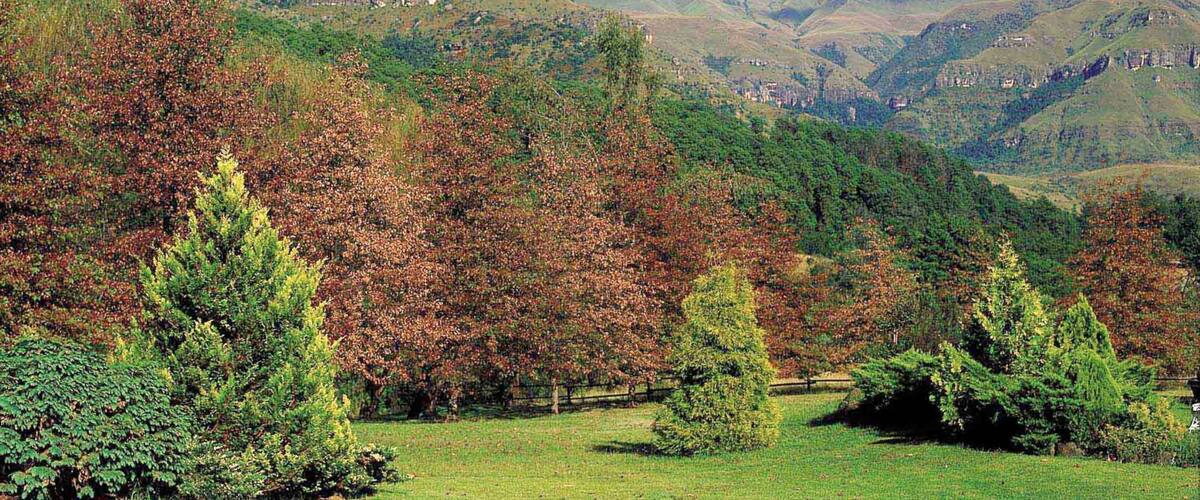 Kwazulu-Natal featuring mountains and landscape views