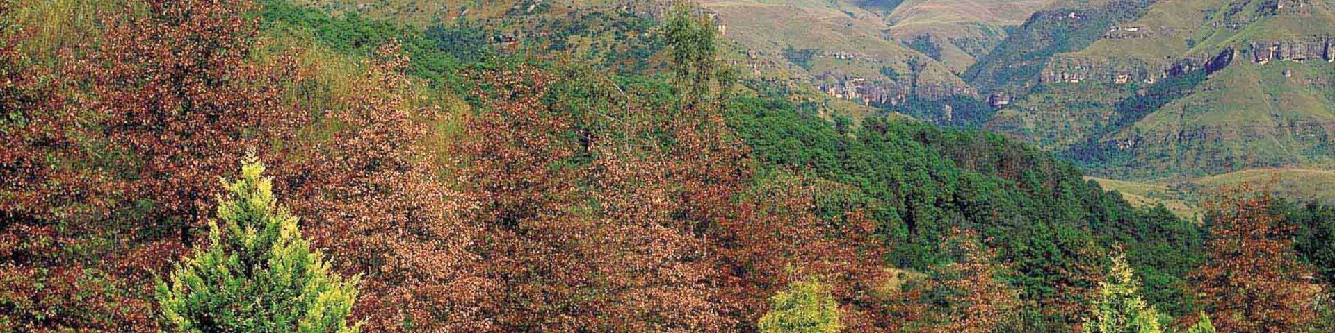 Kwazulu-Natal showing landscape views and mountains
