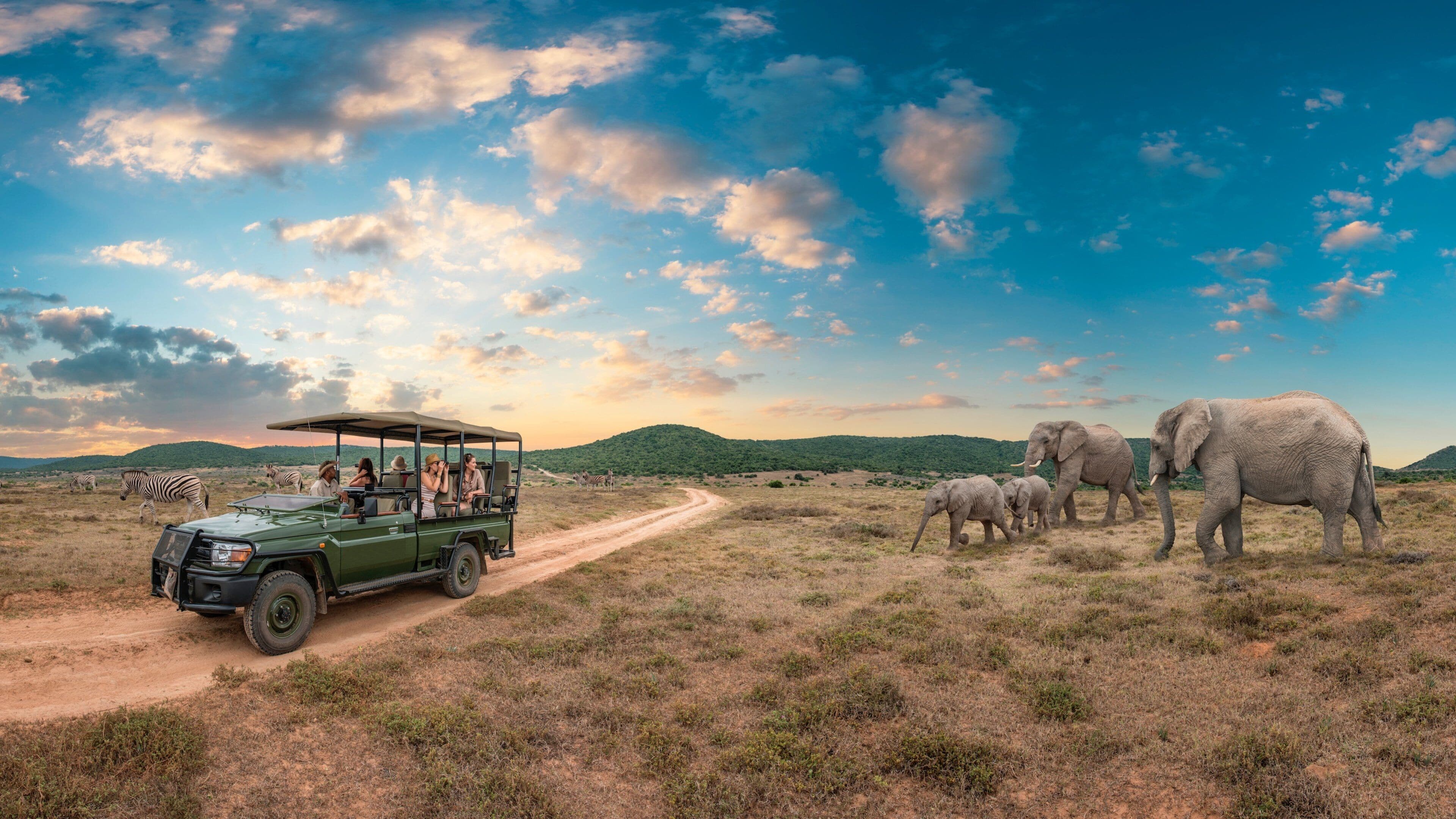A safari vehicle on a dirt road with zebras and elephants in a savannah landscape.