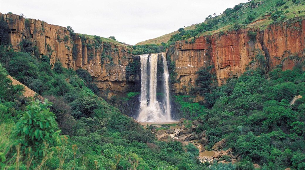 Mpumalanga - Limpopo showing a gorge or canyon and a cascade