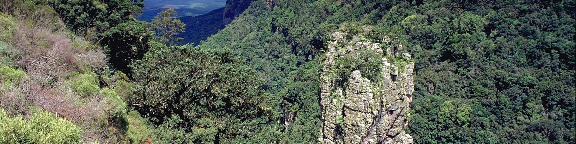 Mpumalanga - Limpopo which includes forests and mountains