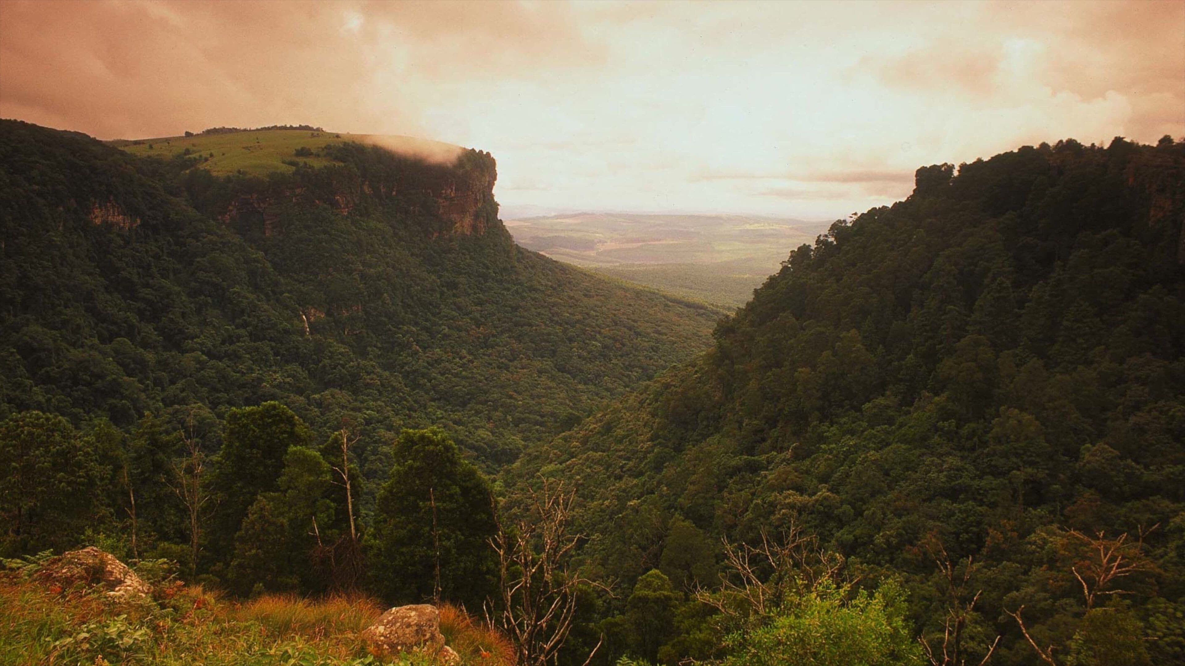 姆普马兰加-林波波河