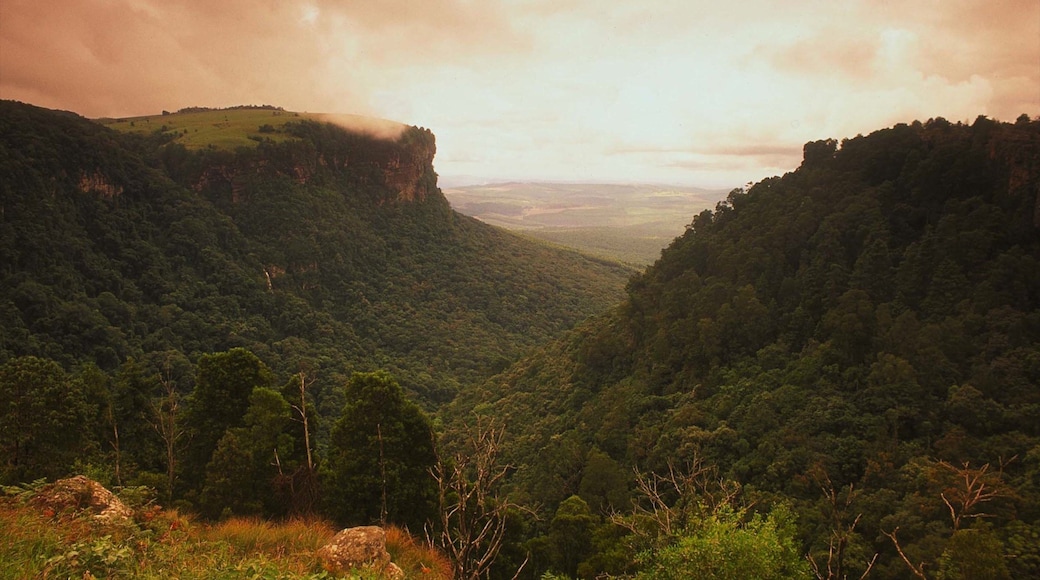 姆普马兰加-林波波河