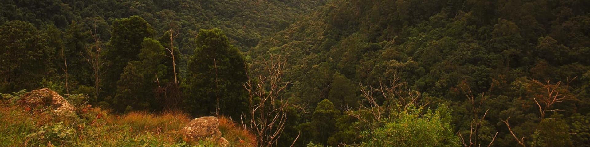 Mpumalanga - Limpopo which includes landscape views, mountains and a sunset