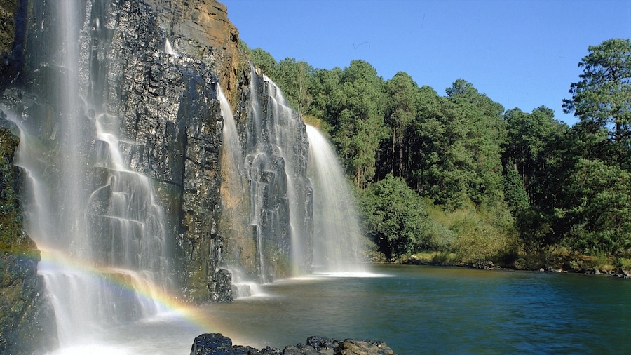 Mpumalanga - Limpopo showing a gorge or canyon, a waterfall and a lake or waterhole