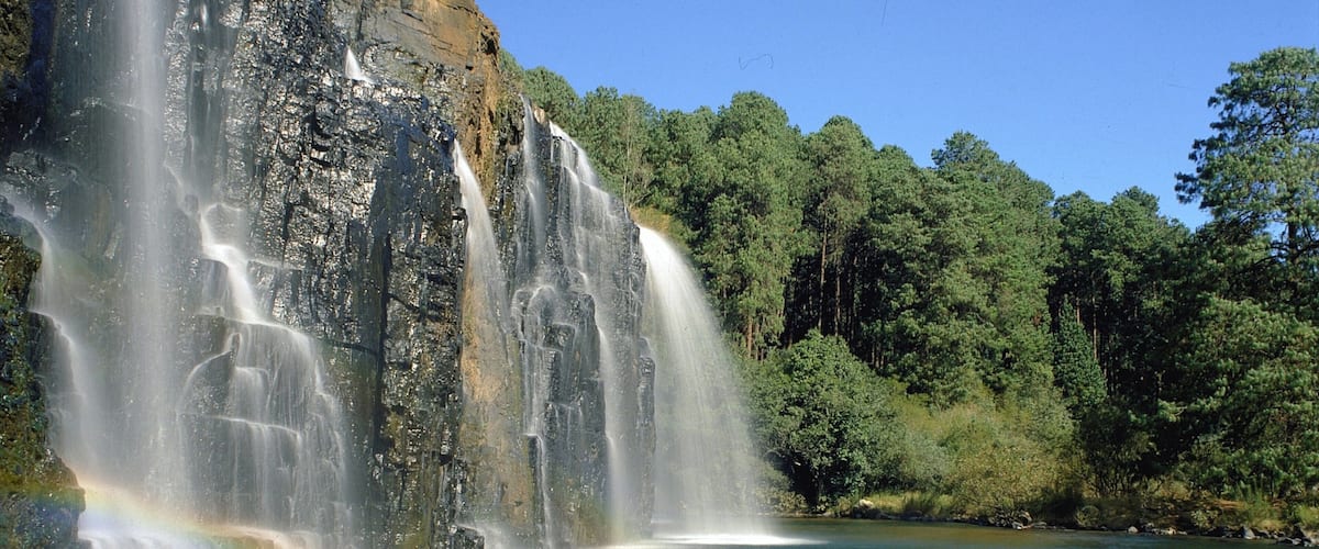 A waterfall with a rainbow, surrounded by dense forest and a calm river.