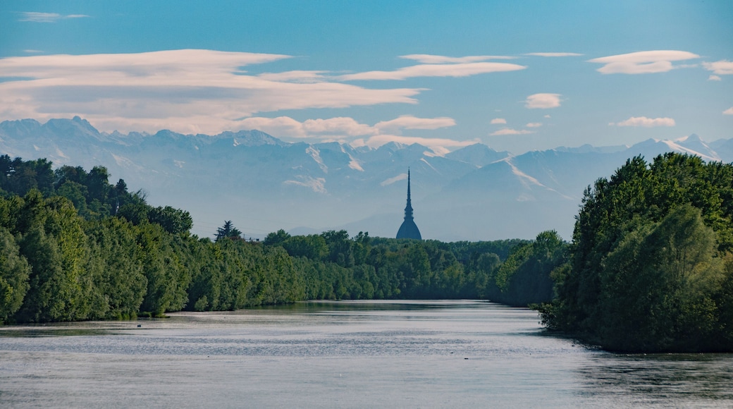 Il Po, l'Isolone Bertolla e la Mole Antonelliana