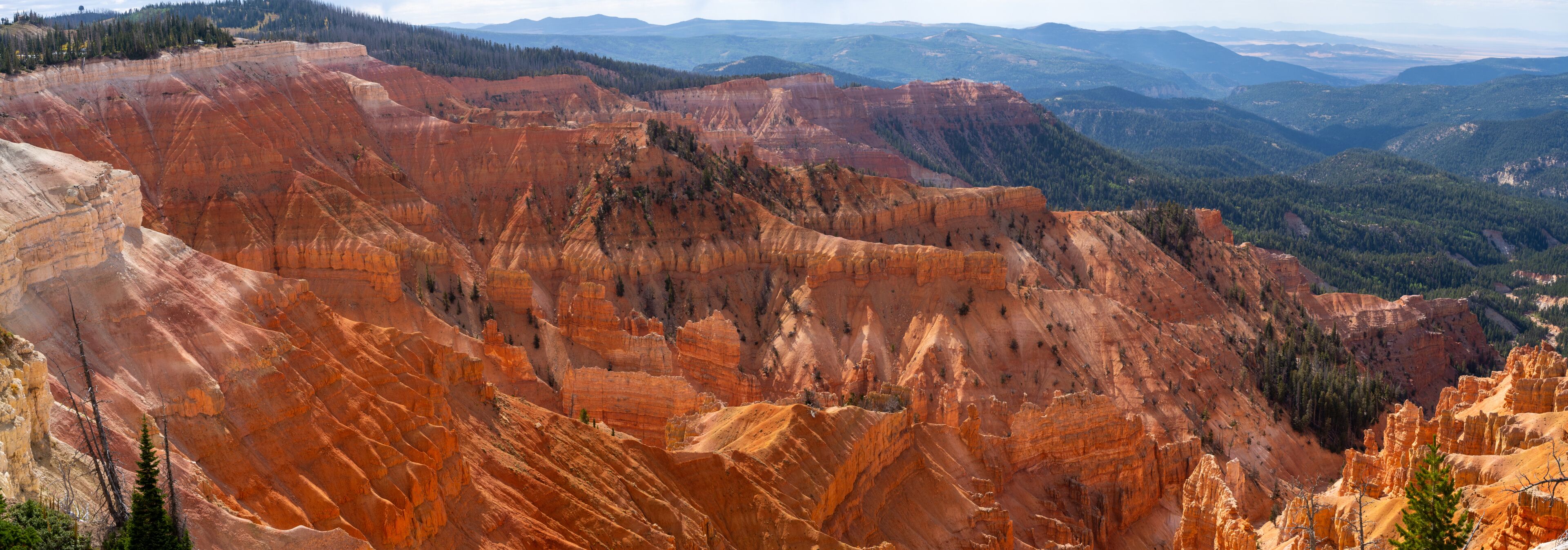 A canyon with layered rock formations and a forested mountain range in the background.