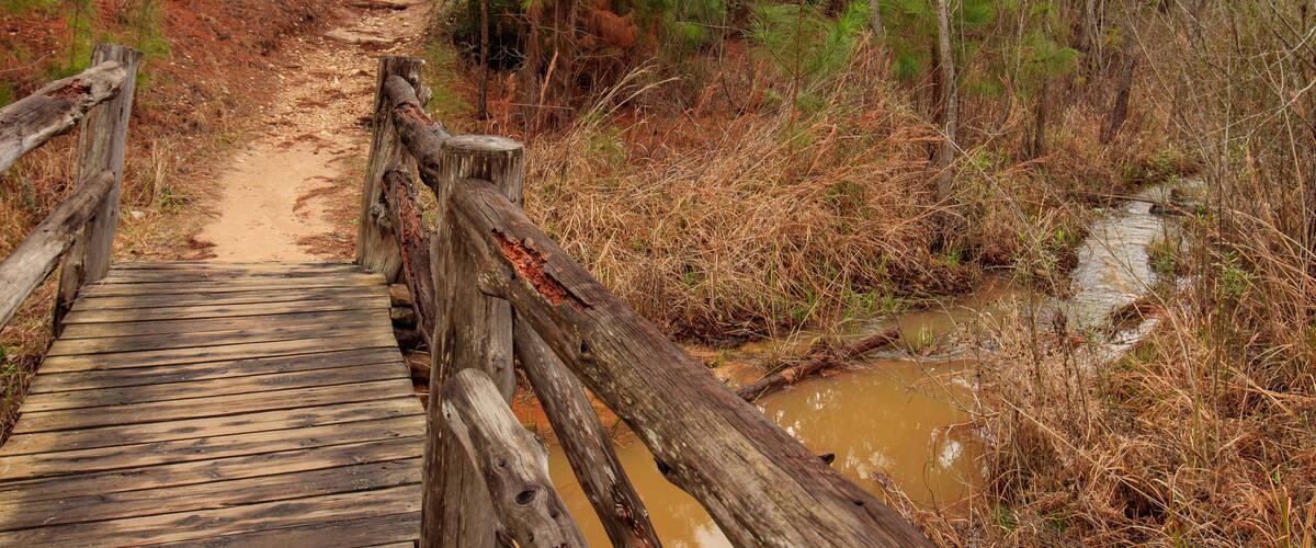 Bastrop State Park, Texas, features a charming wooden cedar bridge crossing over a serene creek.