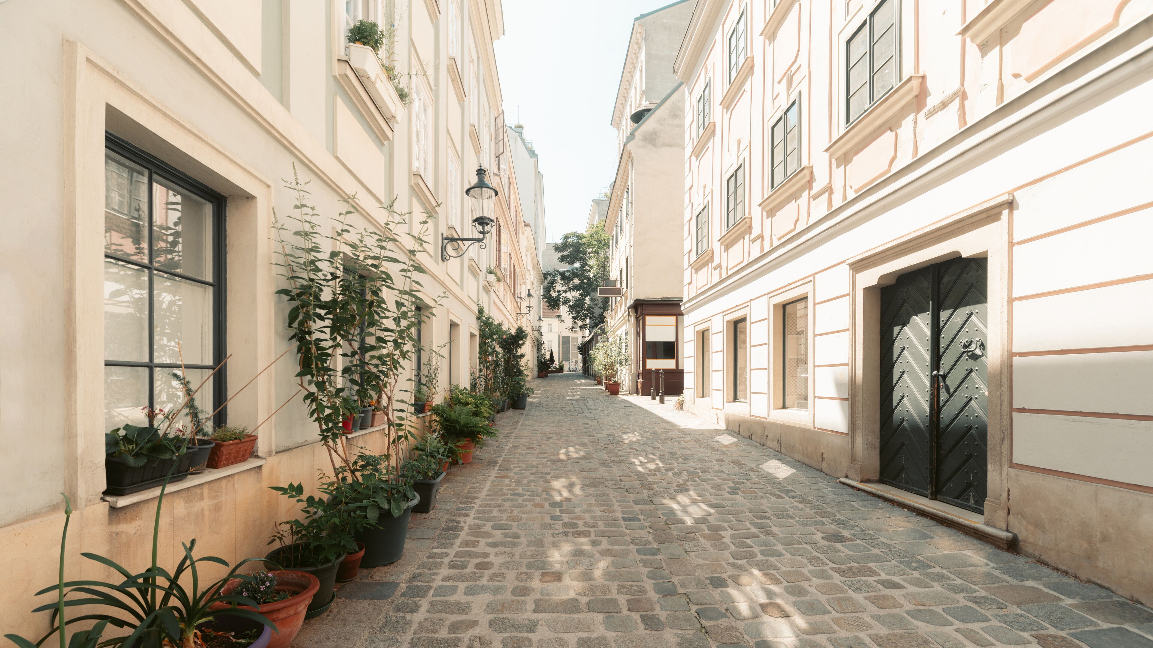 A cobblestone alley flanked by buildings with large windows and potted plants.