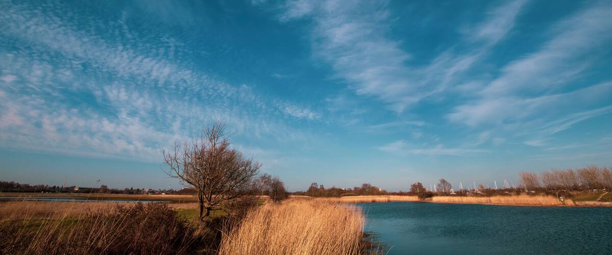 A river with a clear sky and a tree on the bank.