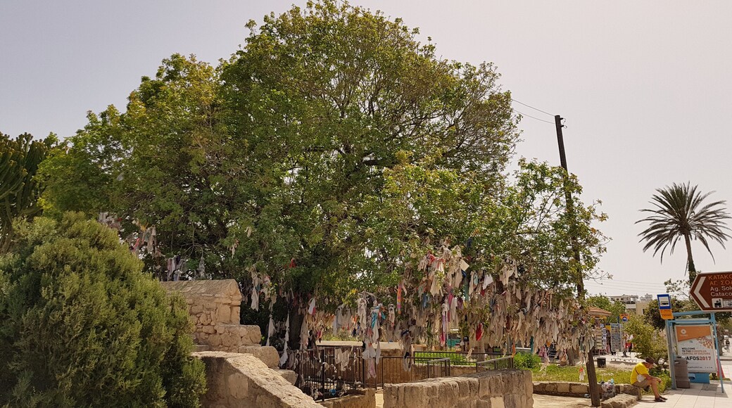 Free Entrance Donation box outside.
Small inside worth the visit.