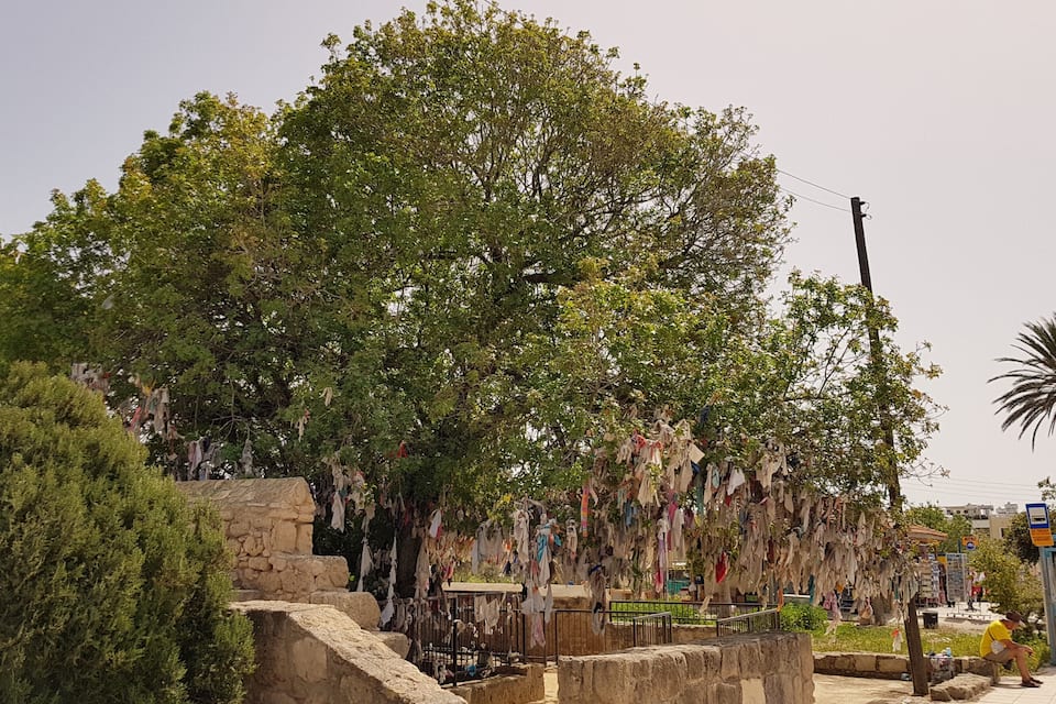 A tree with clothes hanging from its branches, a stone wall, and a bus stop with a sign.