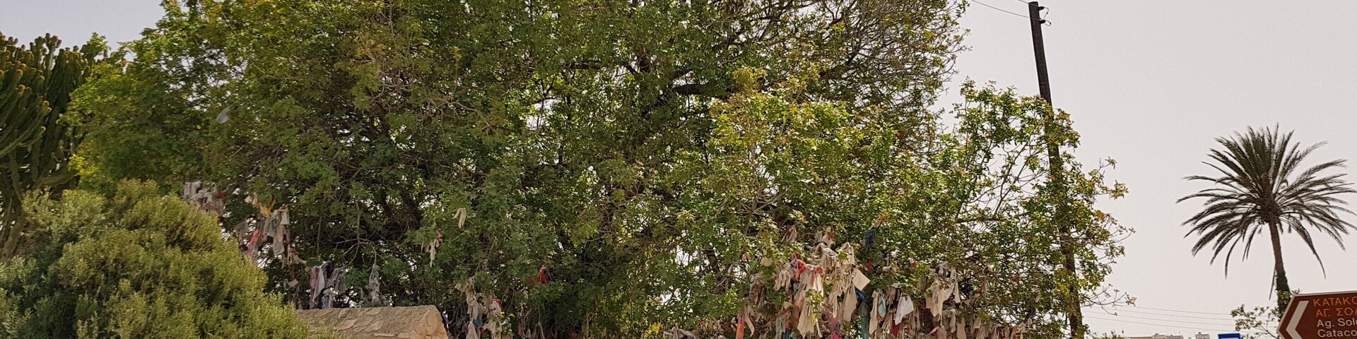 Free Entrance Donation box outside.
Small inside worth the visit.