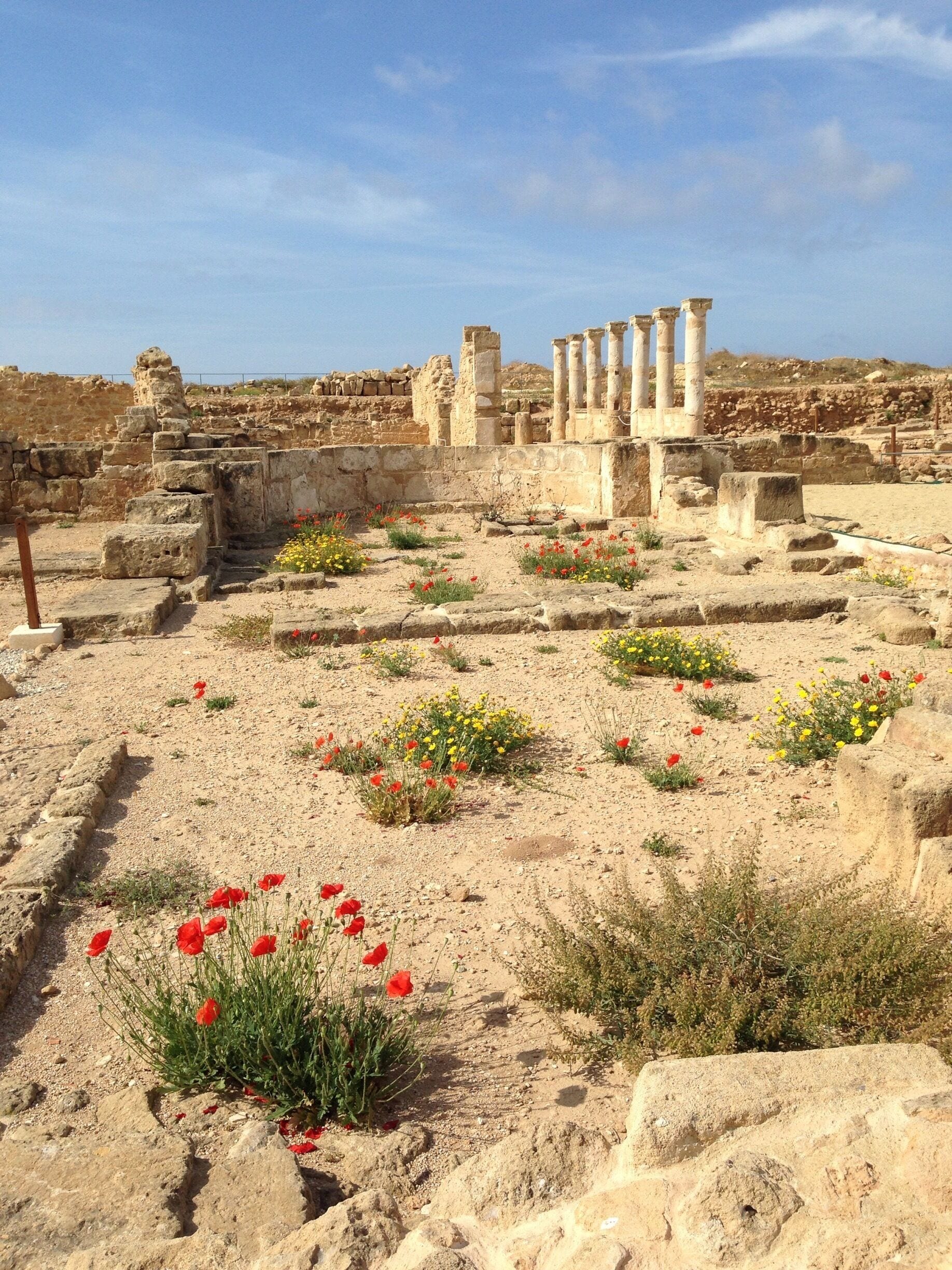 The flowers are taking over the wasteland of the ruins