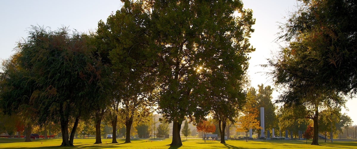 Tri-Cities Hotel Guide