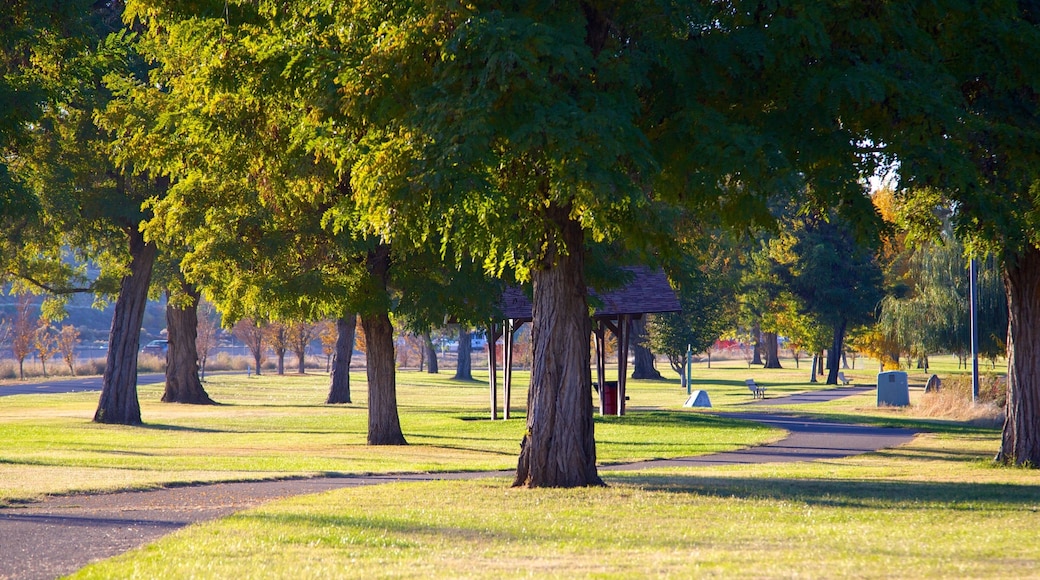 Tri-Cities showing a garden