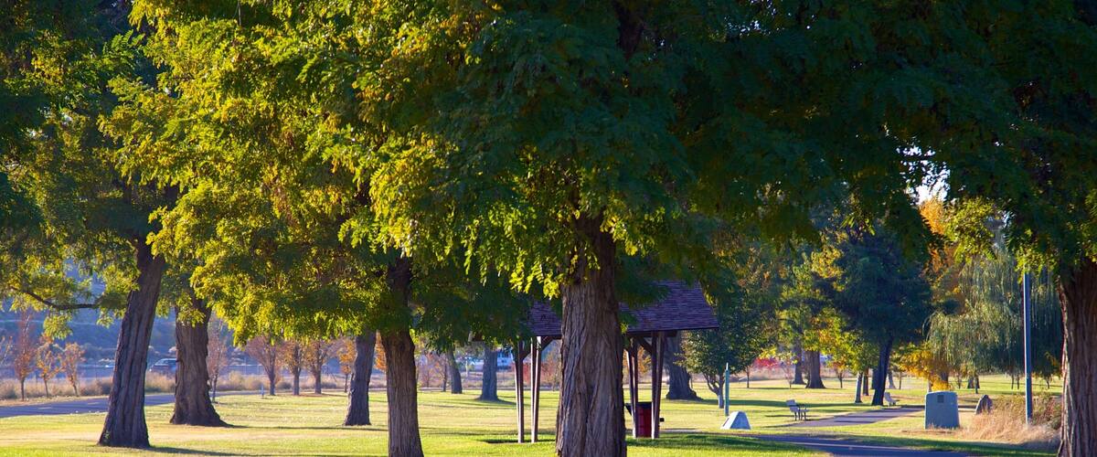 Tri-Cities showing a park