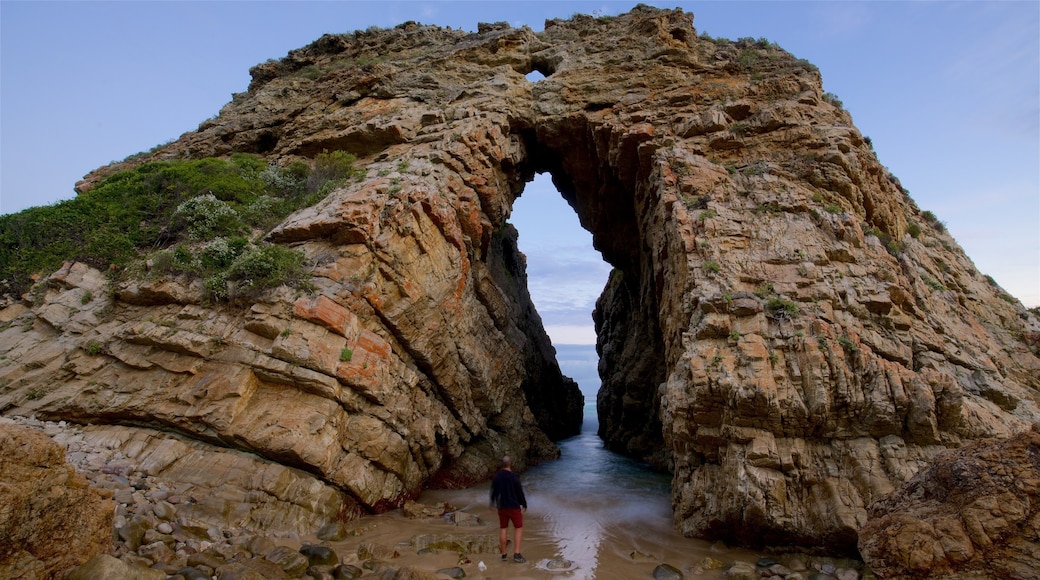 Garden Route showing rocky coastline