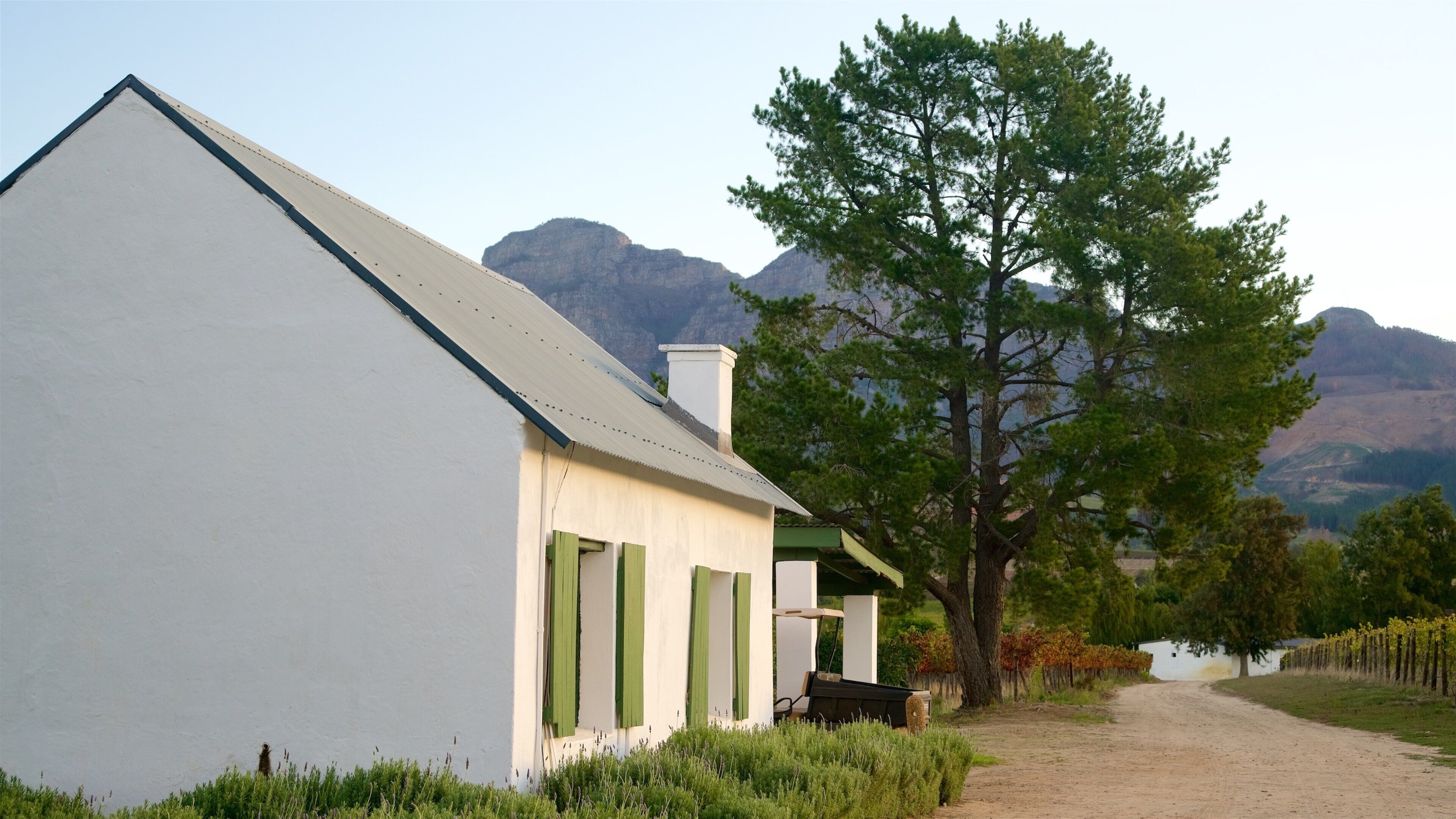 Cape Winelands showing a house