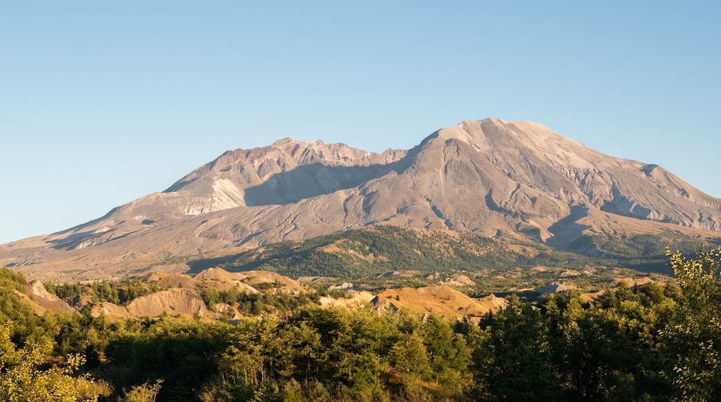 ์ผํธ๋ด๋ฆฌ์ - ์นํผ๋ฆฌ์ค