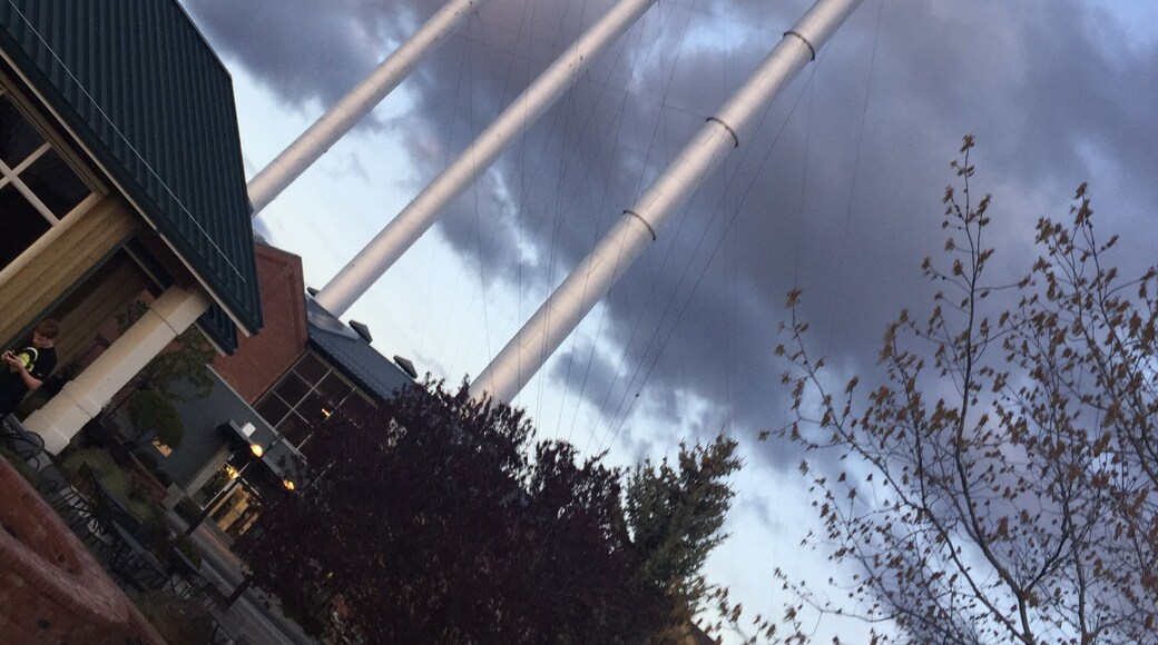 Smokestacks at REI! #SpringFun